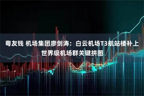 粤友钱 机场集团廖剑涛:白云机场T3航站楼补上世界级机场群关键拼图