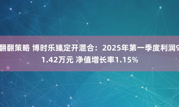 翻翻策略 博时乐臻定开混合：2025年第一季度利润91.42万元 净值增长率1.15%
