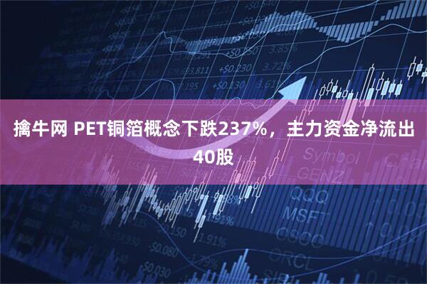 擒牛网 PET铜箔概念下跌237%，主力资金净流出40股